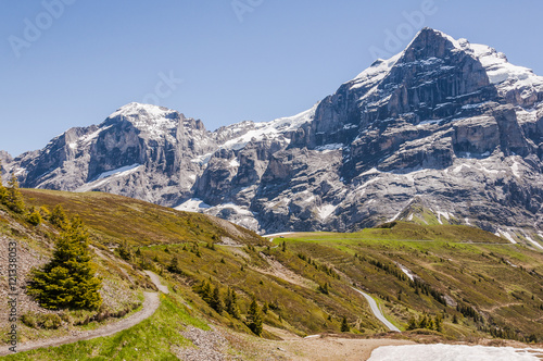 Grindelwald, Berner Oberland, Alpen, Schweizer Berge, First, Grosse Scheidegg, Wanderweg, Wetterhorn, Engelhörner, Sommer, Schweiz