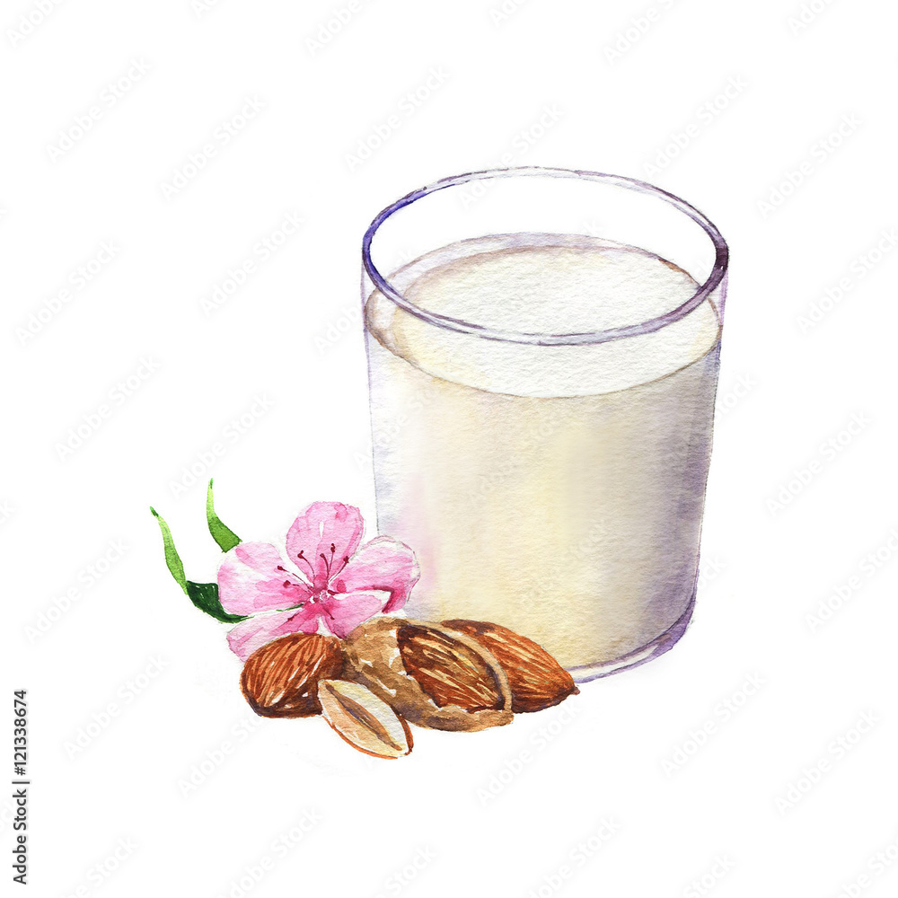 Handdrawn watercolor illustration of the almond and glass of almond