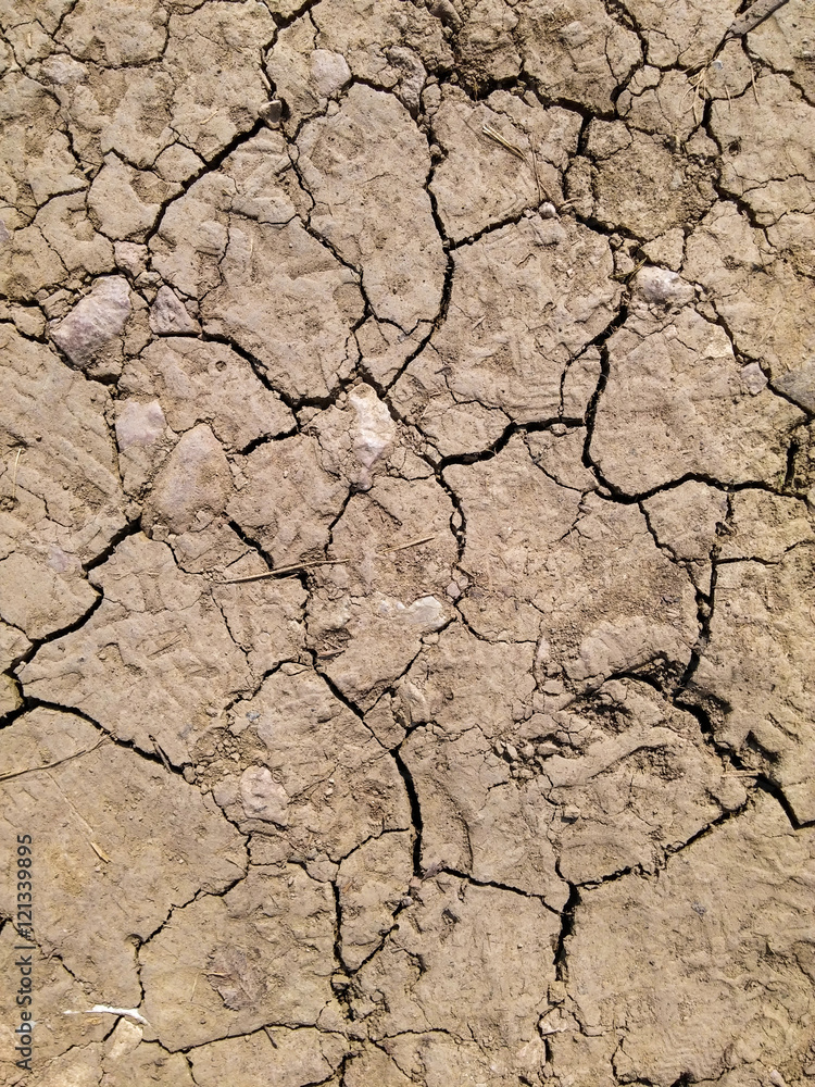 Fototapeta premium Dry soil