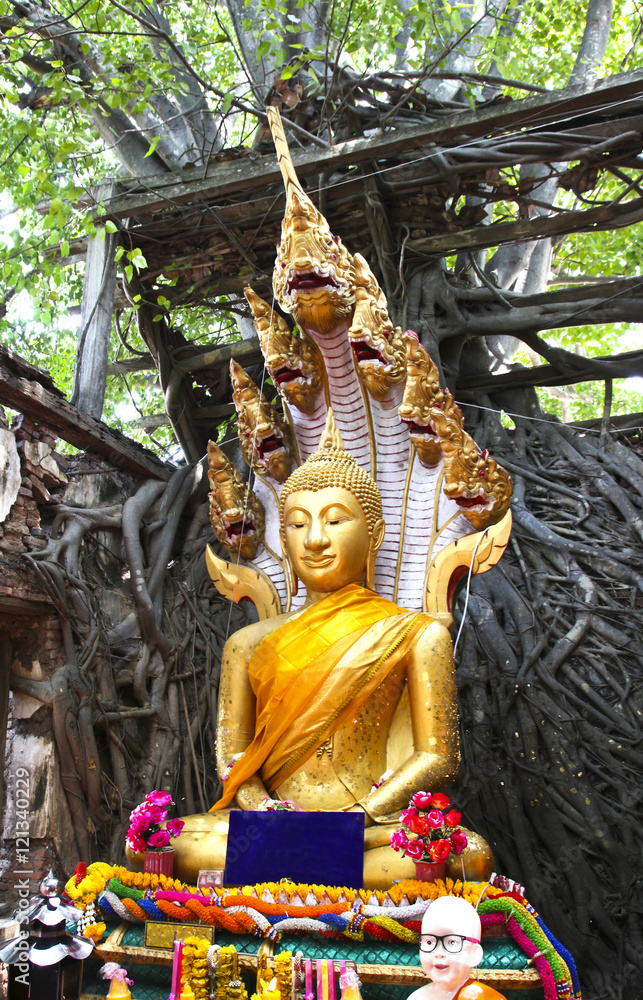 Unseen Thailand,Ruins of old temple with a Bodhi tree root,Sang