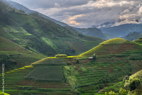 Green Rice fields on terraced in Mu cang chai, Vietnam photo