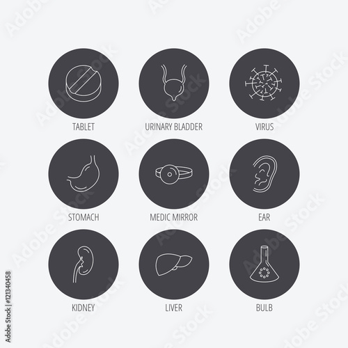Virus, tablet and stomach organ icons.