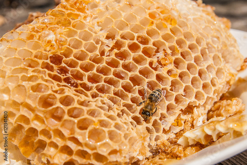 Close up view of the working bee on the honeycomb with sweet hon