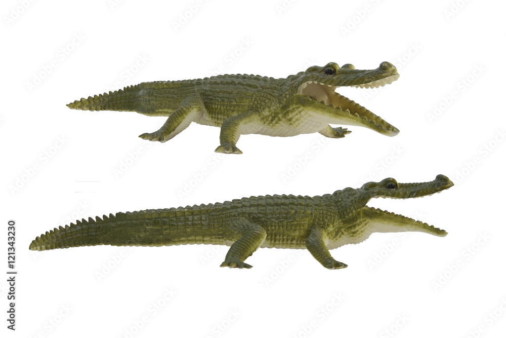 Crocodile toy photo. Isolated green crocodile profile and angle view toy photo.