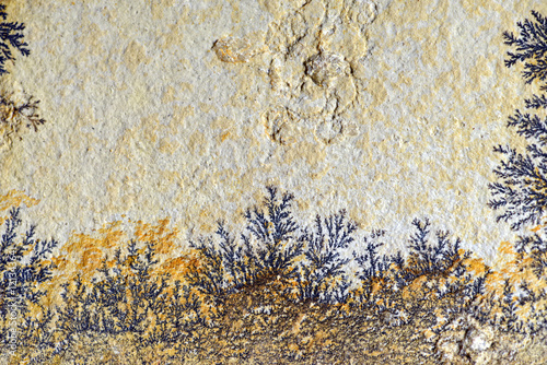 Dendrite in limestone rock of solnhofen photo