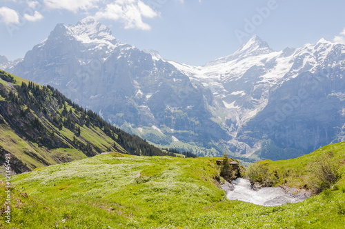 Grindelwald, Dorf, Berner Oberland, Wetterhorn, Schreckhorn, Grosse Scheidegg, Waldspitz, Wanderweg, First, Alpen, Sommer, Schweiz