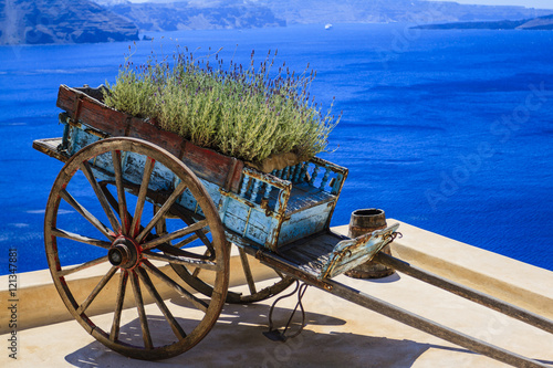 Decorative old cart with lavender flowers on a roof terrace in Oia, Santorini, Greece.