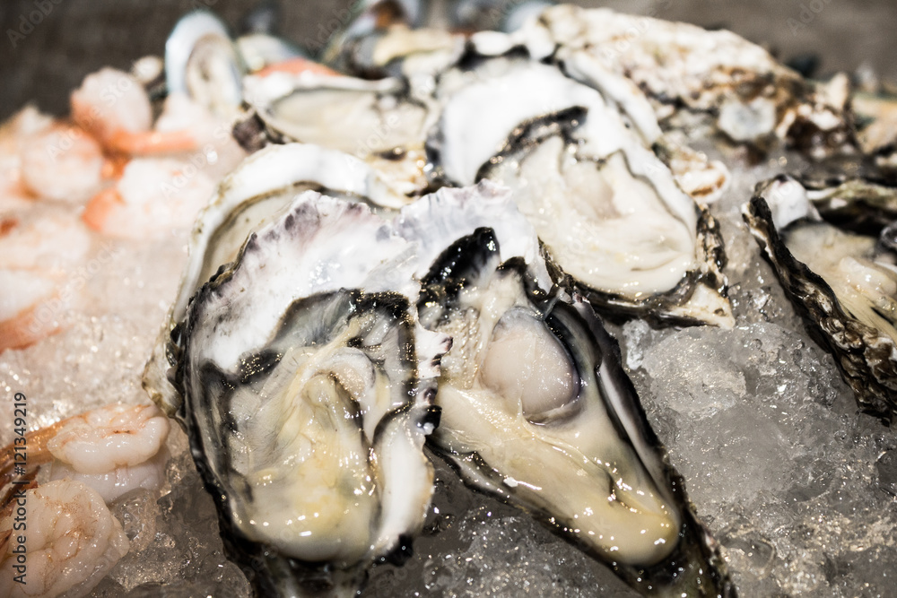 Oysters on ice