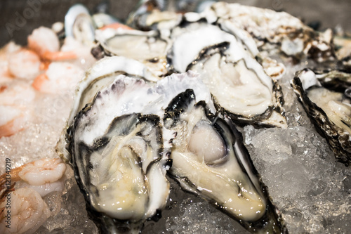 Obraz na płótnie Oysters on ice w salonie