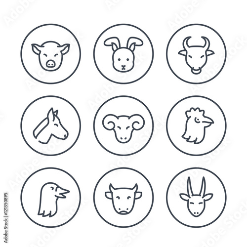 Farm animals line icons in circles