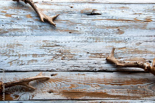 Deer antlers on white wooden background. Top view. Copyspace