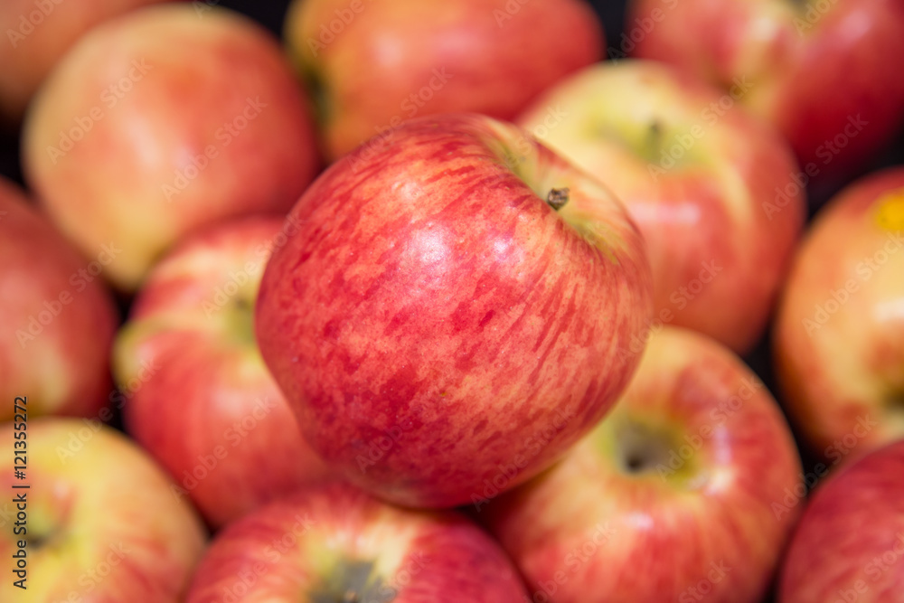 Red and yellow fresh apples. Red and yellow fresh apples.
