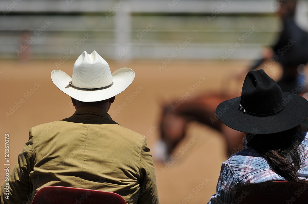 View on the backs of judges with a rider on a background