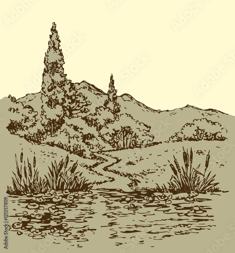 Summer landscape: trail from forest to stream. Vector sketch