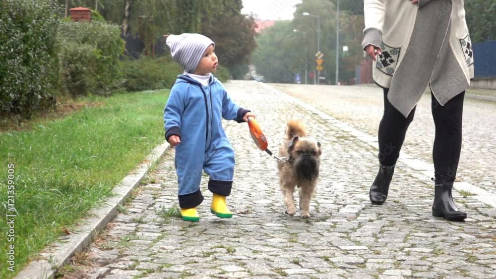 Baby boy is walking with mother and dog on a road, slow motion
Baby boy is walking with mother and dog on a road, slow motion