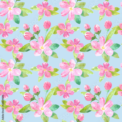 Floral seamless pattern with apple flowers and buds.Watercolor hand drawn illustration.Blue background.
