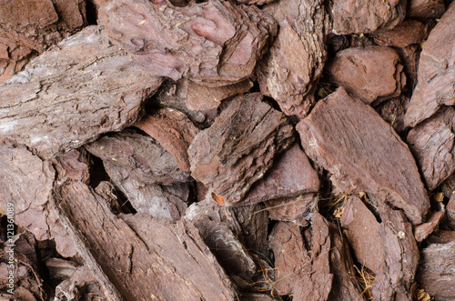 close up view of of small chopped tree bark pieces