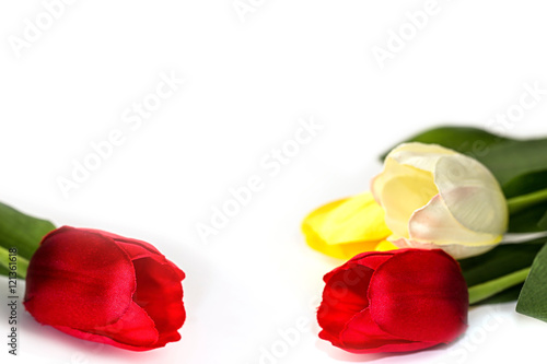 artificial tulip hand made from satin fabric on white background. 