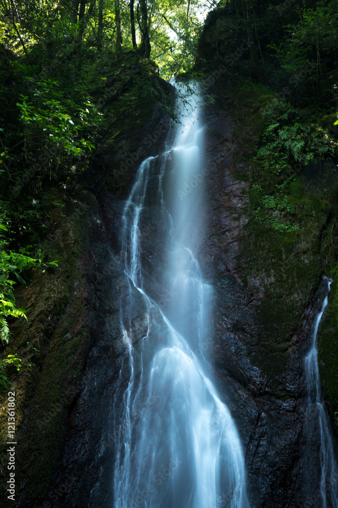 Fototapeta premium Wodospad i świeża zieleń (jesienne liście w mieście Uchiko, prefektura Ehime)