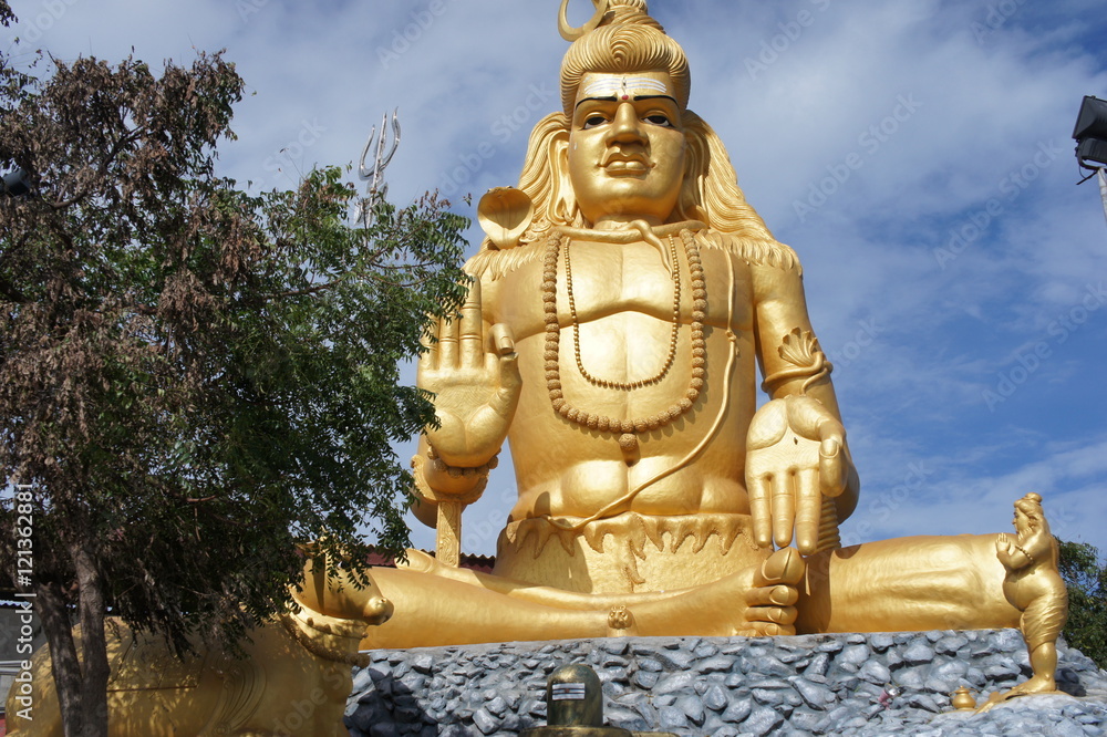 Fototapeta premium SONY DSC