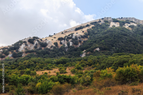 Ficuzza Hills