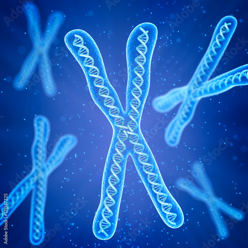 Chromosome molecule concept, Medical accurate 3D illustration © Alex Mit