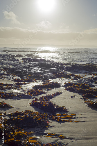 waves over seawwed sunset rocks photo