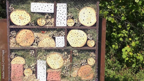 Small house for insect - Insect house or hotel
