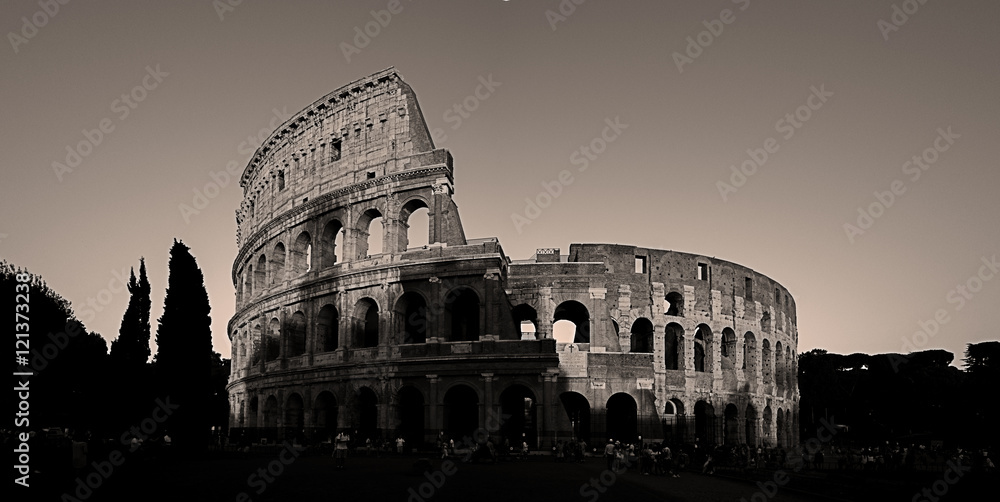 Colosseum Black and White Panoramic