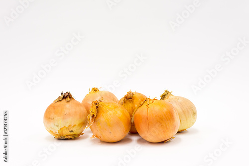 Fototapeta Naklejka Na Ścianę i Meble -  Isolated group of onions on the white background
