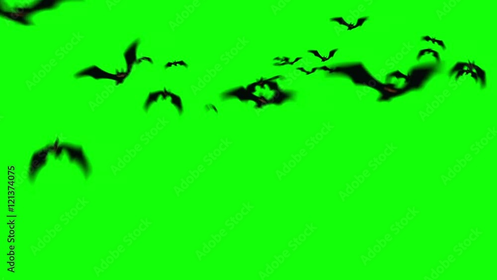 Halloween Swarm of Bats Flying towards Camera (Green Screen / Chroma