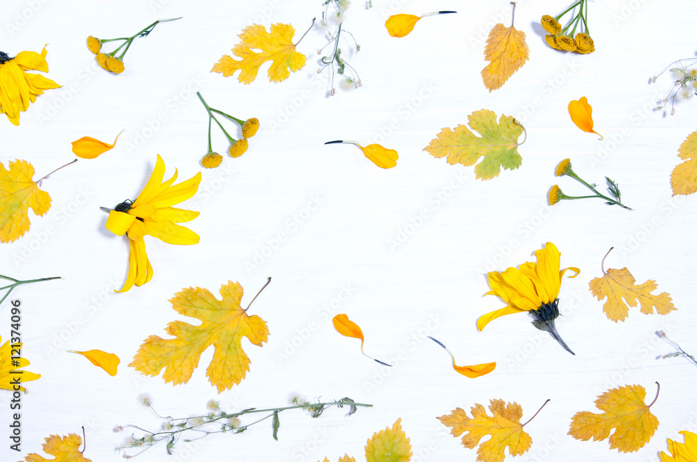 background of yellow flowers and leaves background of yellow flowers and leaves