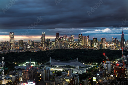Cloudy Tokyo Skyline in the Evening