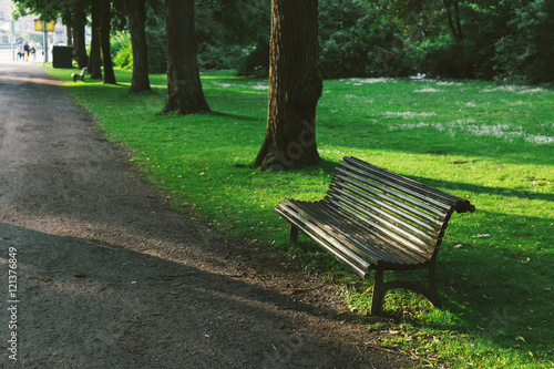 Wooden bench in lush green parkland in summer