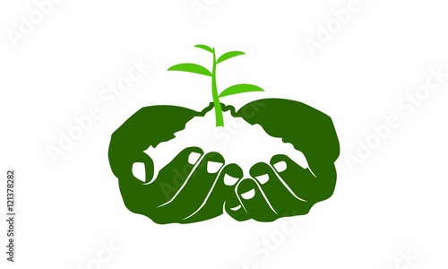 grow hand tree