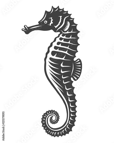 Monochrome sea horse icon isolated on white background