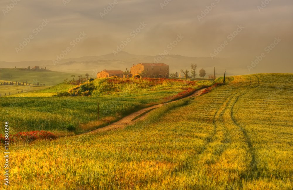 Tuscany Farmhouses In the Morning Mist