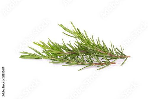 rosemary isolated on white background