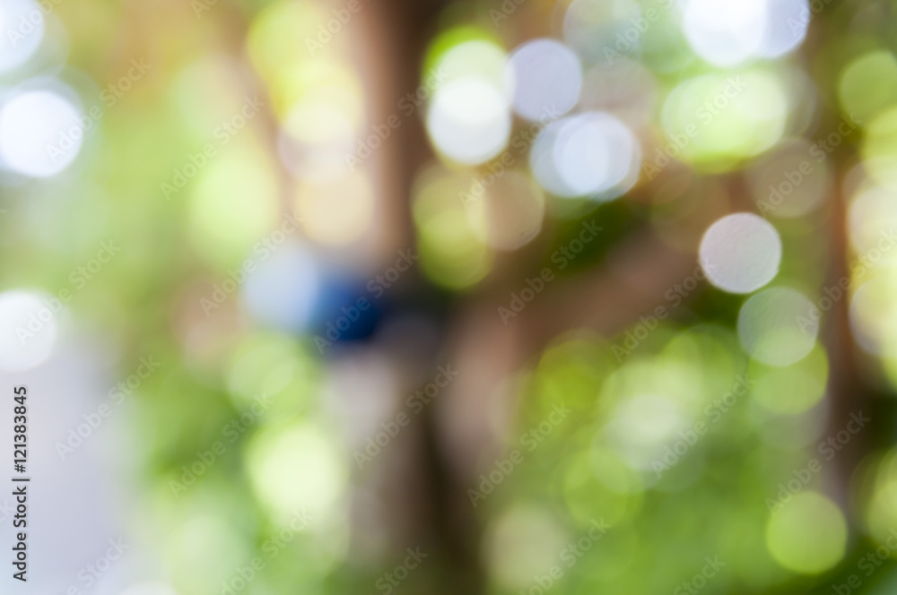 Obraz premium blurred of fresh healthy green bio background with abstract blur