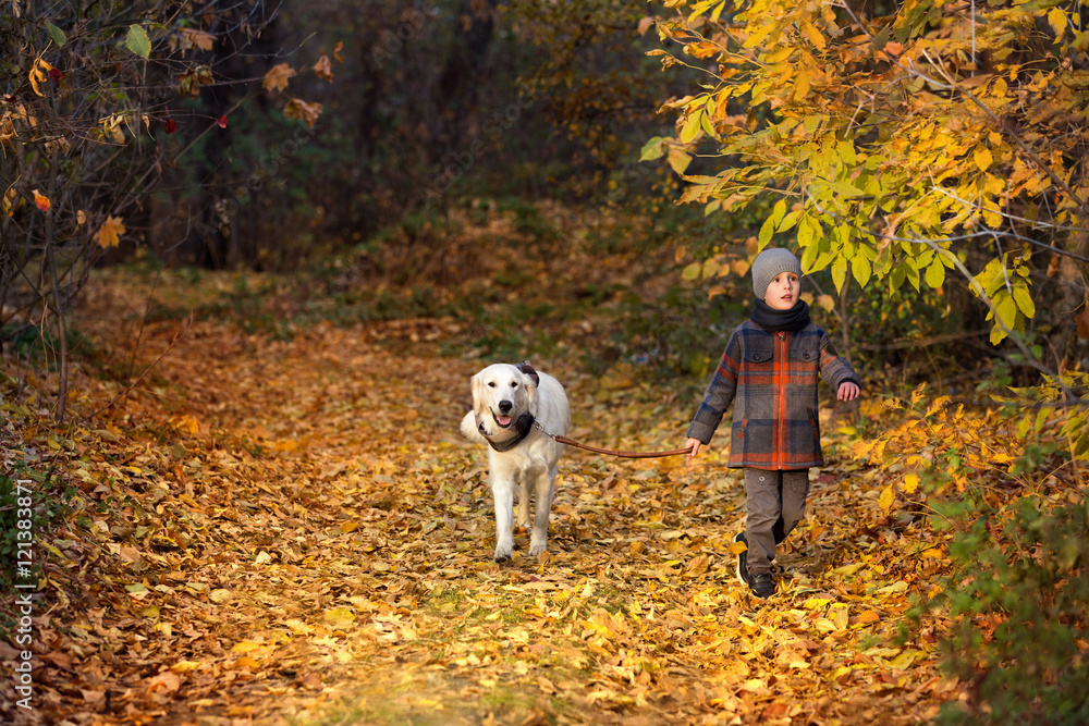 Autumn walk with pet Autumn walk with pet