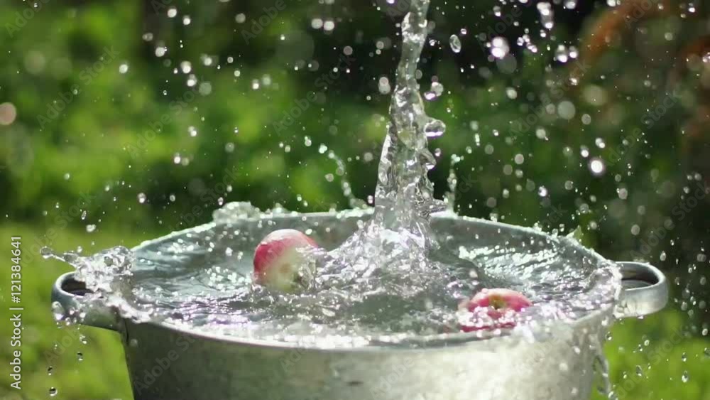 In the empty basin of water throwing apples. Ripe apple falling into water, splashing water. Apples in water. Apples are washed in a basin of water. Apple splashing into water in slowmotion
