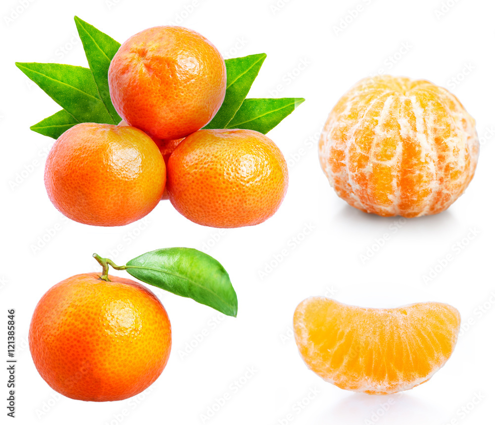 Citrus mandarin Set Citrus mandarin Set