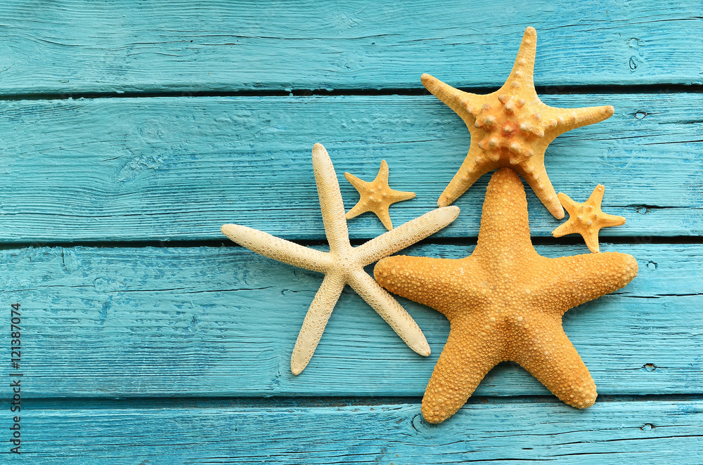 Starfish Starfish