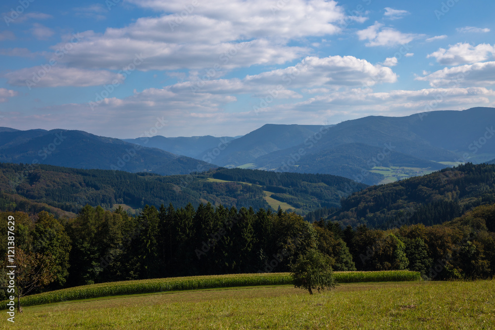 Fototapeta premium Hünersedel Hünersedelturm Schuttertal und Freiamt Schwarzwald