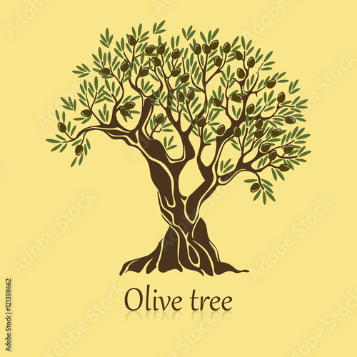 Olive tree with branches and berries logotype