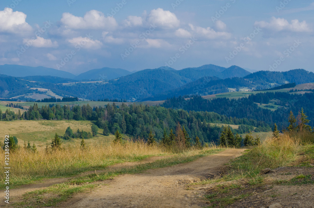 Fototapeta premium Carpathian mountains in the west part of Ukraine