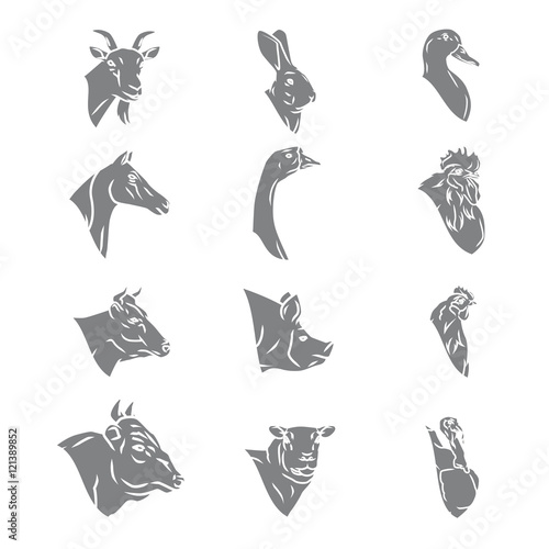 Farm animal heads vector collection. Butchery logo and labels set
