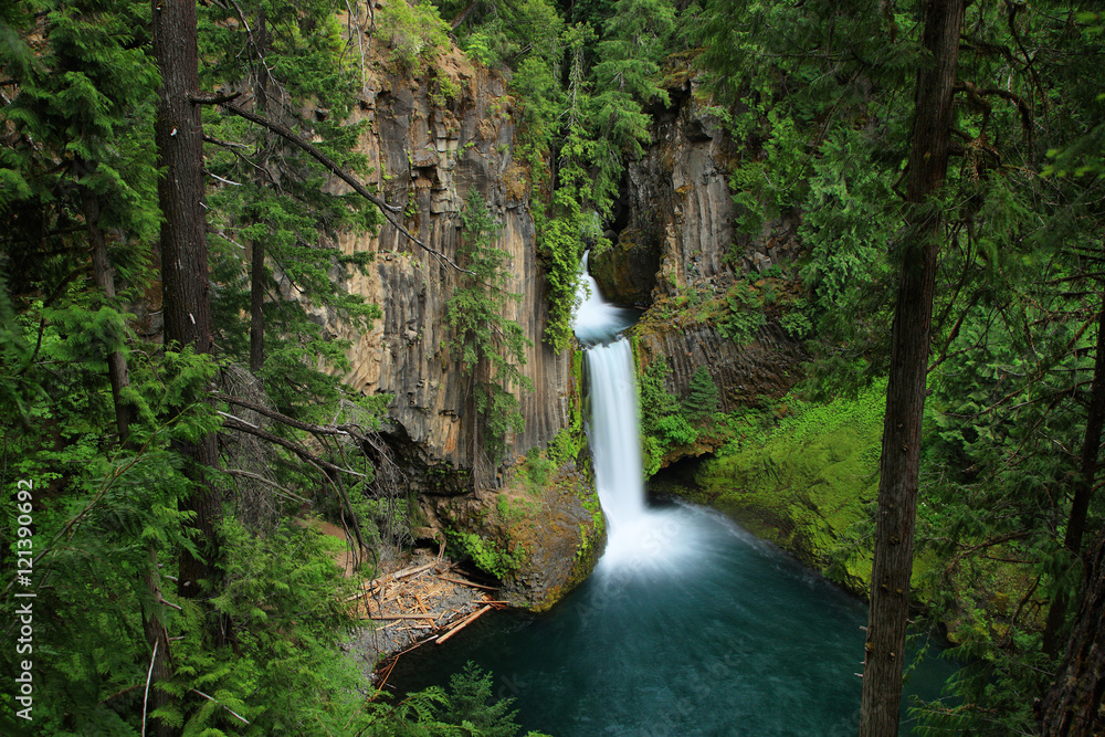 Fototapeta premium Toketee Falls in Oregon