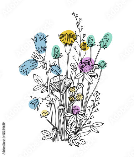 Sketch of the wildflowers on a white background.