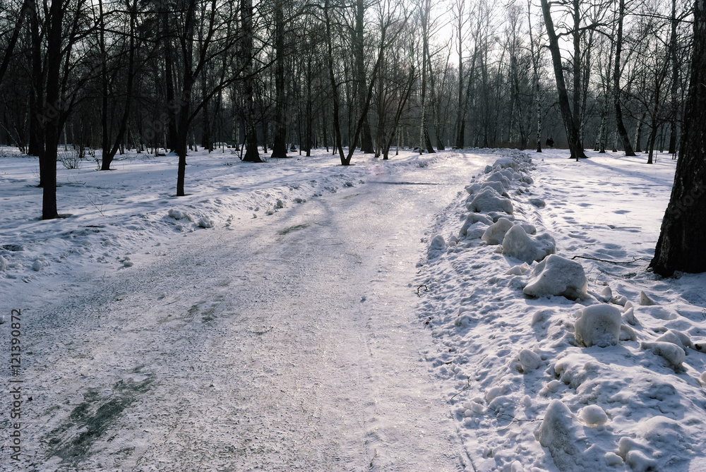 Road in a Snow-Covered Winter Park in February Road in a Snow-Covered Winter Park in February